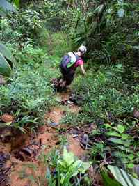 descente, limite onf, ravine gras, petit bourg