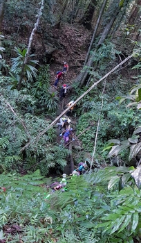 descente limite parc morne bois d inde deshaies