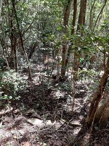 descente raide morne gros cap Guadeloupe