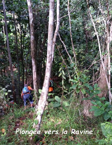 descente ravine, bis conodor, ste rose, guadeloupe