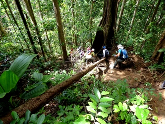 descente canyon moustique P Bourg guadeloupe