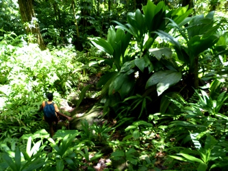 descente vers rivière la rose Guadeloupe