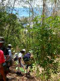 descente vers rivière sens, tour du houelment, basse terre, guadeloupe