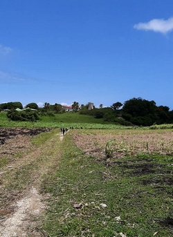 descente vers murat marie galante