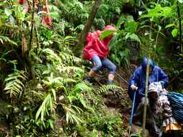 sentier accidenté, matouba, papaye, basse terre, guadeloupe