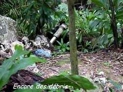 crash, balade, dos d`ane, basse terre, guadeloupe, antilles