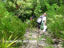 balade, désirade, sentier, trace, iles de guadeloupe, antilles