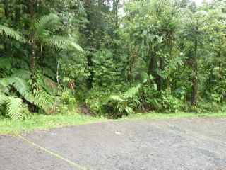 balade grosse corde départ foret humide guadeloupe