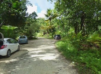 entrée foret desbordes Canyon moustique guadeloupe