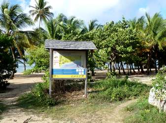 entrée plage bois jolan ste anne guadeloupe