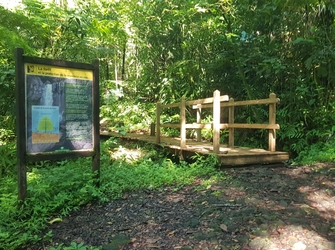 entrée sentier 