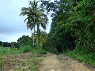 entrée sentier canyon moustique guadeloupe