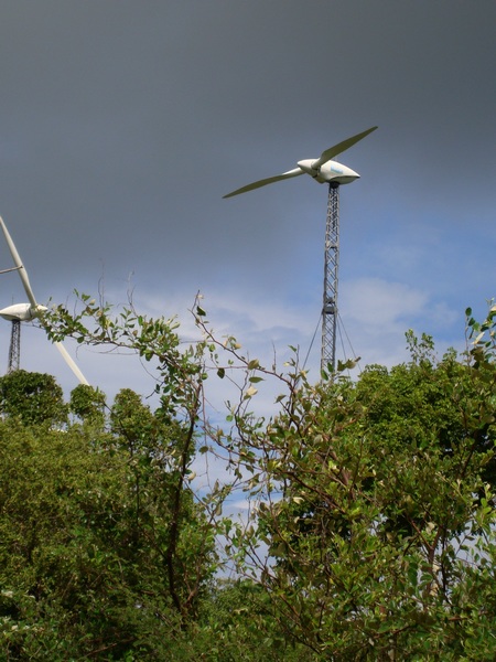 eolienne , mahaudière, anse bertrand, grande terre, guadeloupe