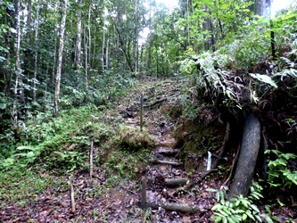 chemin en escalier Canyon Moustique petit bourg Guadeloupe