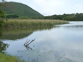 Etang, Rivière Mitan, Littoral Deshaies