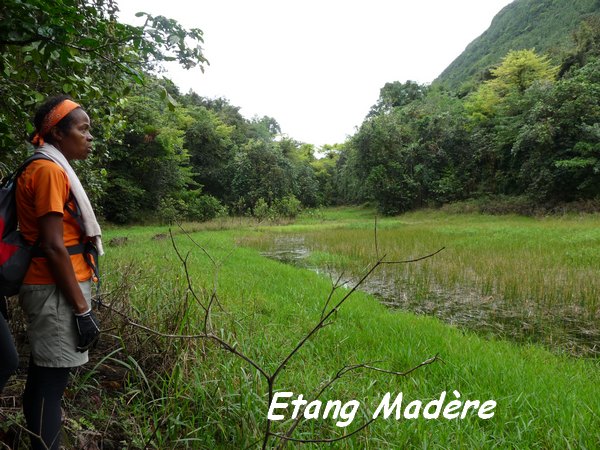 etang madère, trace des étangs