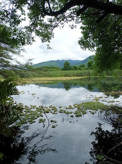 etang Roland Mamalier guadeloupe