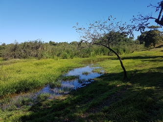 etang vx fort Guadeloupe