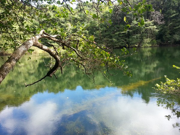 Etang zombi, 3 rivières, guadeloupe