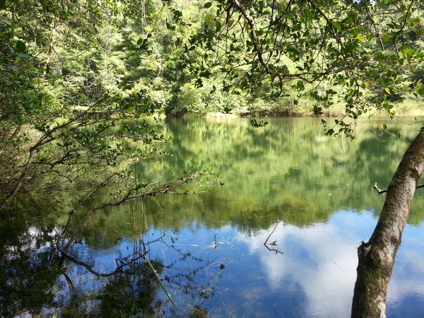 Etang zombi, 3 rivières, guadeloupe