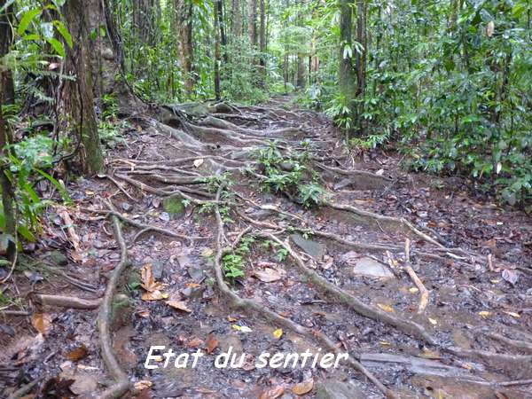 sentier moreau L