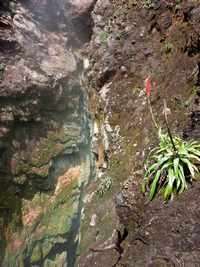 faille, Soufrière, trace géologues, Basse terre, Guadeloupe