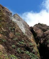 faille, Soufrière, trace géologues, Basse terre, Guadeloupe