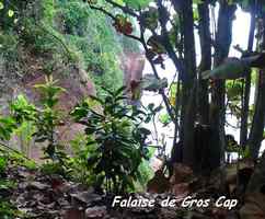 falaise, gros cap, sentier, tillet, basse terre, guadeloupe