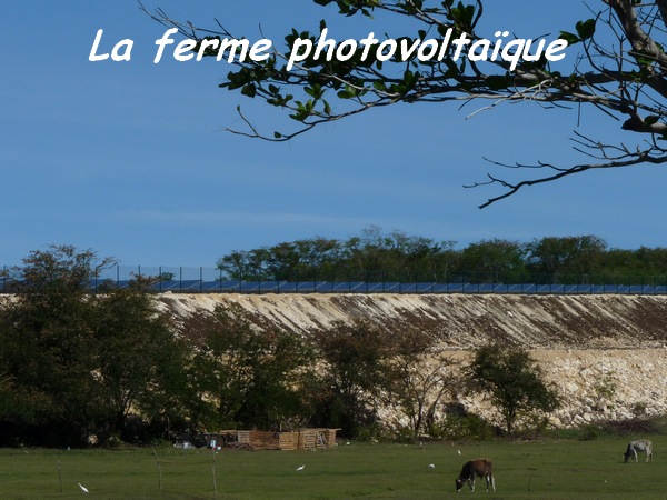 ferme photovoltaique , TGT J1,L