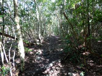 morne petit bas vent deshaies basse terre guadeloupe