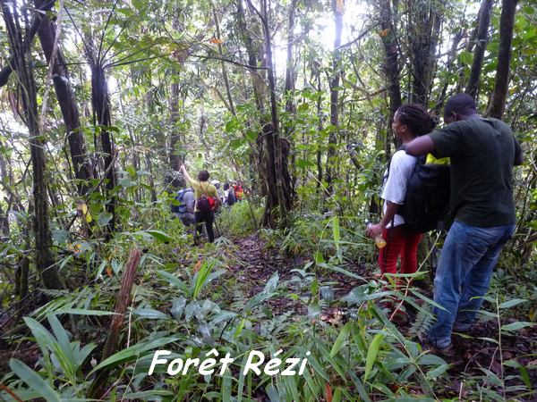 Forêt Rézi, Piton de Bouillante L