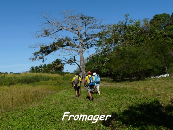fromager, TGT, L