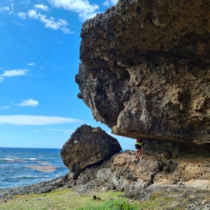 galeries capesterre marie galante 