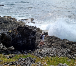 galeries capesterre marie galante