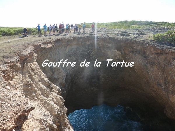 gouffre tortue TGT3 L