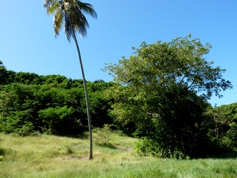 grands fonds Ste anne trace du prince