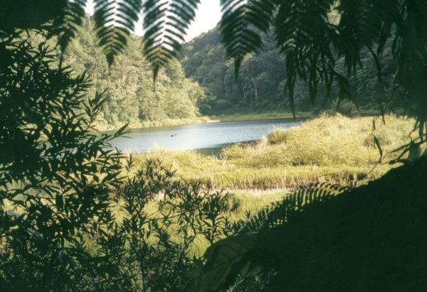 grand etang, 3 rivières