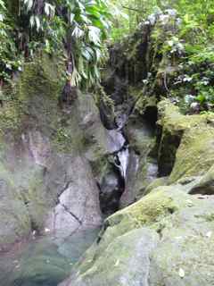 balade grosse corde cascade foret humide basse terre guadeloupe