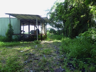 hangar banane canyon moustique petit bourg Guadeloupe