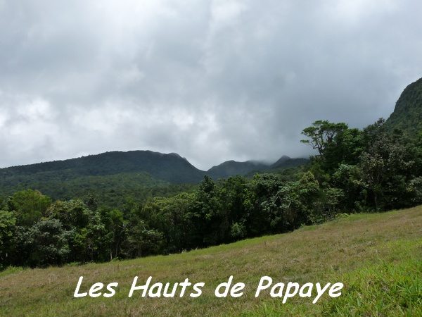 les hauteurs de Papaye L