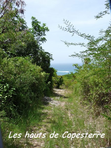 Les Hauts de capesterre, Marie Galante