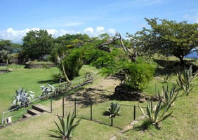 jardin cactées fort terre de haut guadeloupe