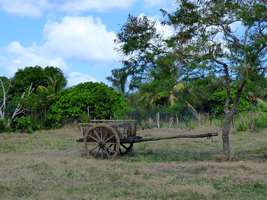 kabouet, gaschet, belin, port louis, grande terre, guadeloupe