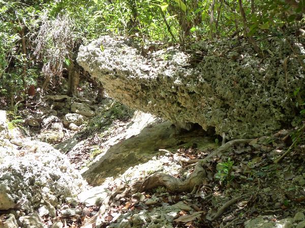 Roches, La Rivière, Désirade L