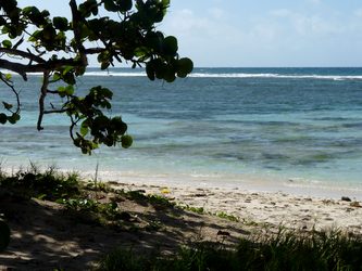 plage bois jolan ste anne guadeloupe