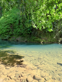 beau bassin rivière bras david guadeloupe