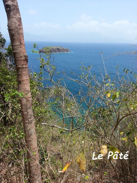 le paté, ilot, terre de bas, guadeloupe