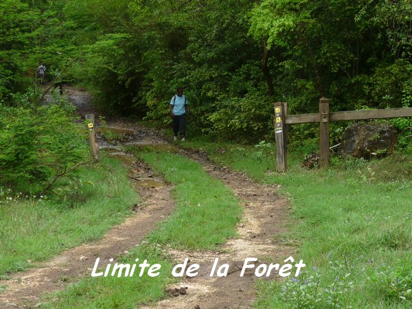 Limite de la forêt domaniale, Poyen L