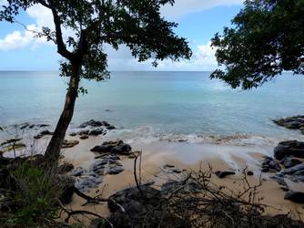 littoral grande anse deshaies Guadeloupe
