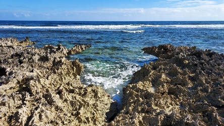 littoral roches bais olive BO AE